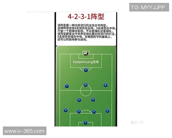 深入分析北京排球队区域防守战术的特点与应用策略